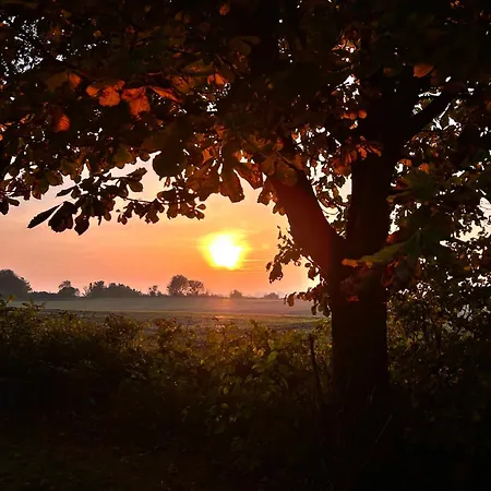 Your Charming Summer Holiday home *